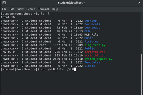 image of entering 'cp' command in terminal