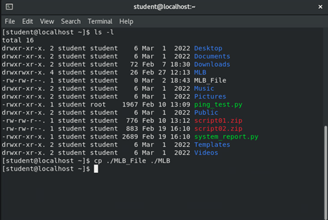 image of output of 'cp' command in terminal